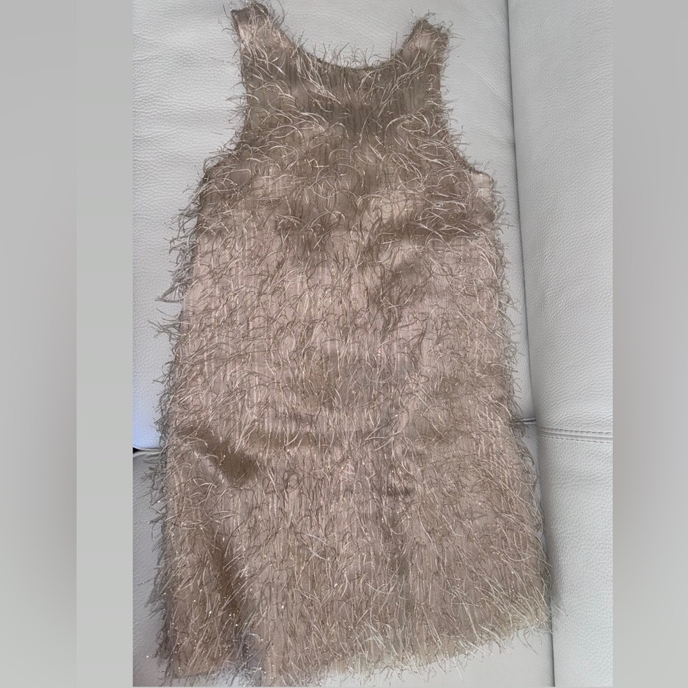 Girl’s Zara Feather Dress.